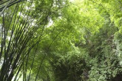 【長河溪】
